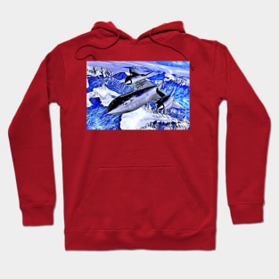 Fighter Aircraft Hoodie